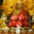 Phù Tiền Thơm Hàn Quốc 